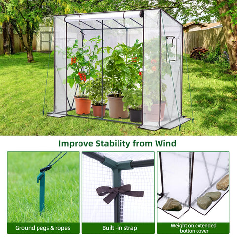 Transparent ohuhu tomato greenhouse with black metal frame mesh cover and roll-up zippered door portable green house