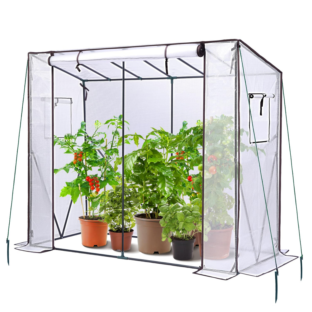 Clear ohuhu tomato greenhouse with black metal frame, green guy lines, and zippered door housing potted plants