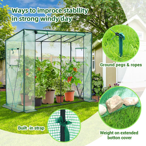 Green mesh greenhouse with black metal frame and roll-up zippered door for a portable tomato greenhouse outdoors