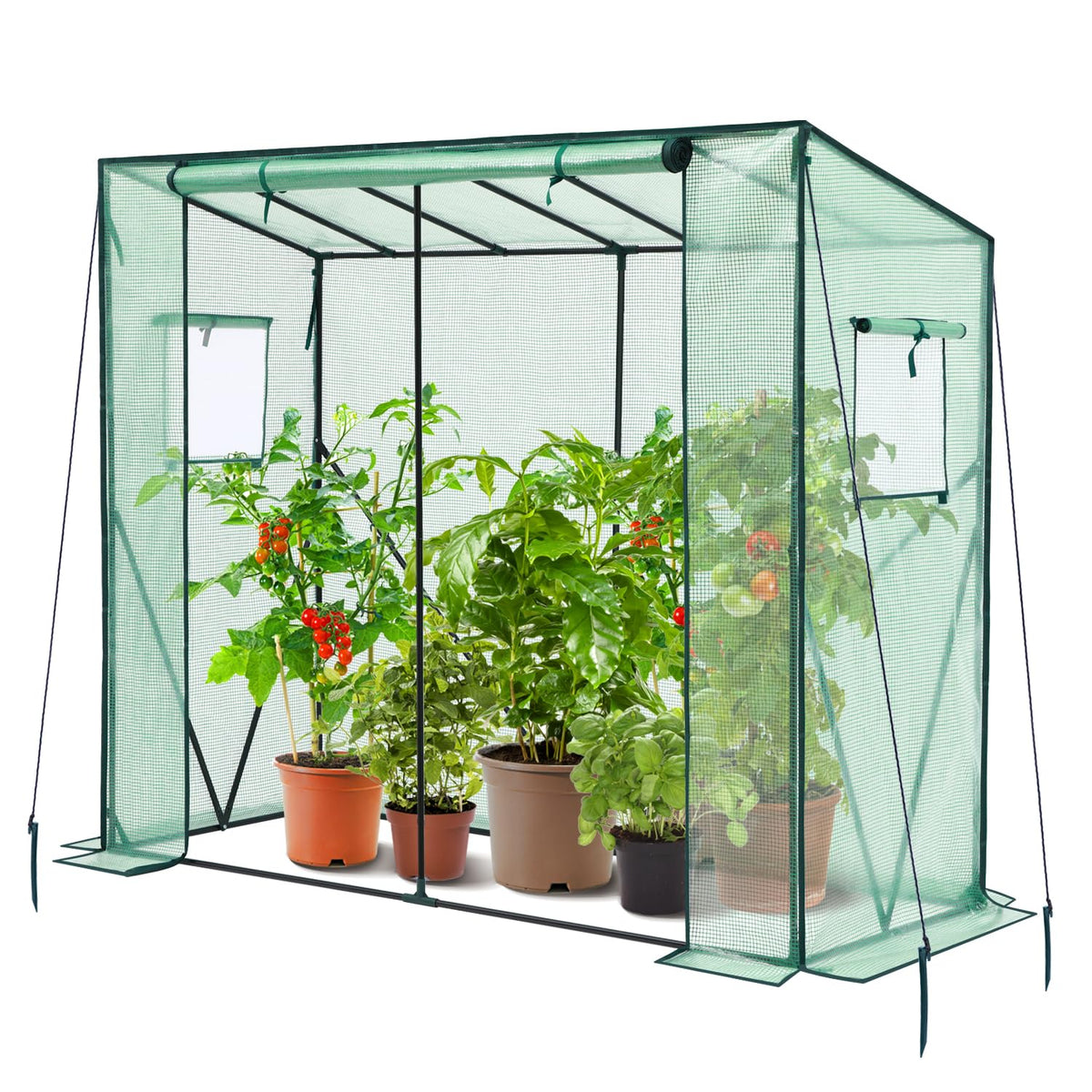 Green mesh greenhouse with black metal frame and roll-up zippered door for tomato greenhouse outdoor use
