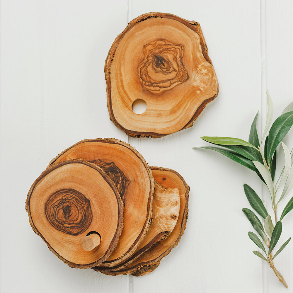 Set of 6 olive wood rustic coasters with circular design and visible grain patterns in a holder
