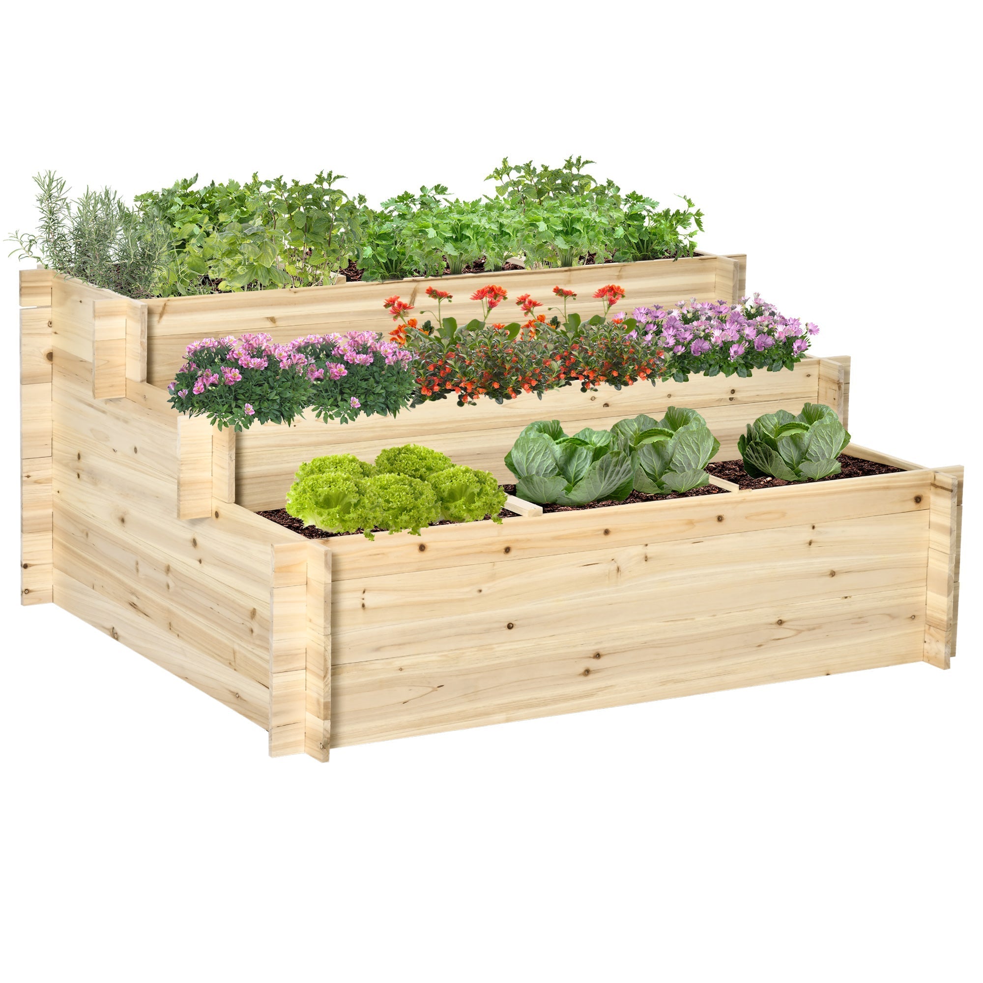 Three-tiered raised garden bed with fir wood frame 105l x 29w natural finish planted with herbs flowers and greens