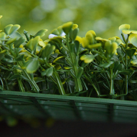 A dense cluster of artificial green and yellow milan grass with small rounded leaves on a 50cm x 50cm wall panel