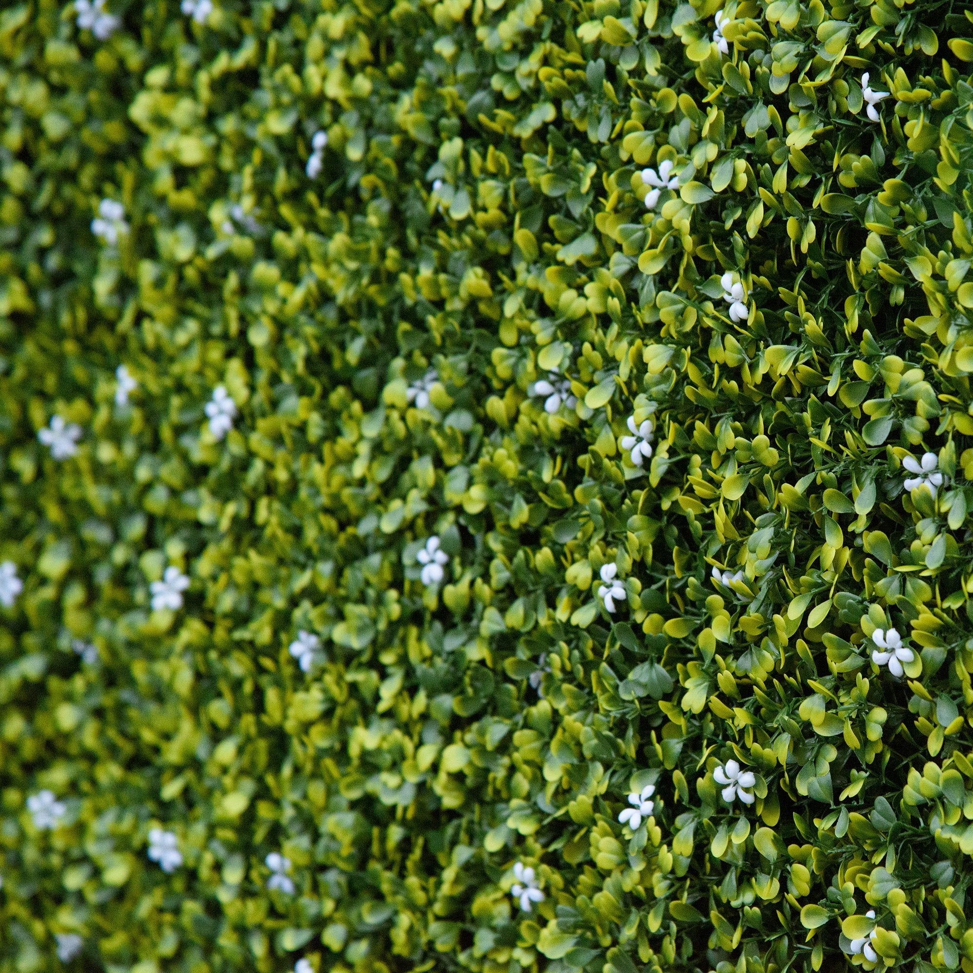 Lush green artificial hedge with delicate white flowers on 50cm x 50cm milan grass wall panel for privacy fence