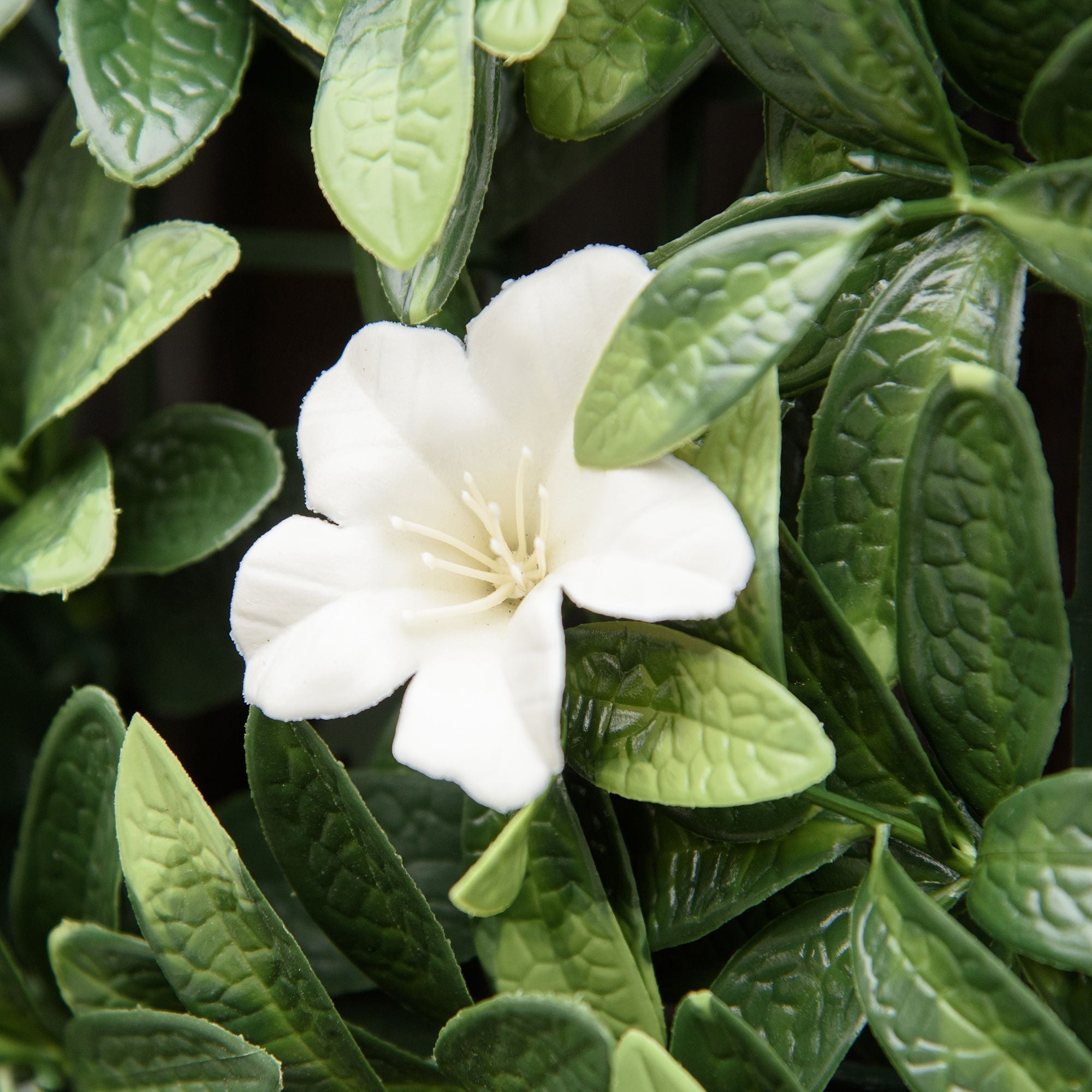 A delicate white flower on an outsunny 50cm x 50cm artificial boxwood wall panel with green glossy leaves