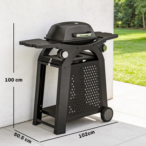 Black Outsunny 2 burner gas grill with domed lid, side shelves, wheels, and cast iron grates for outdoor BBQ