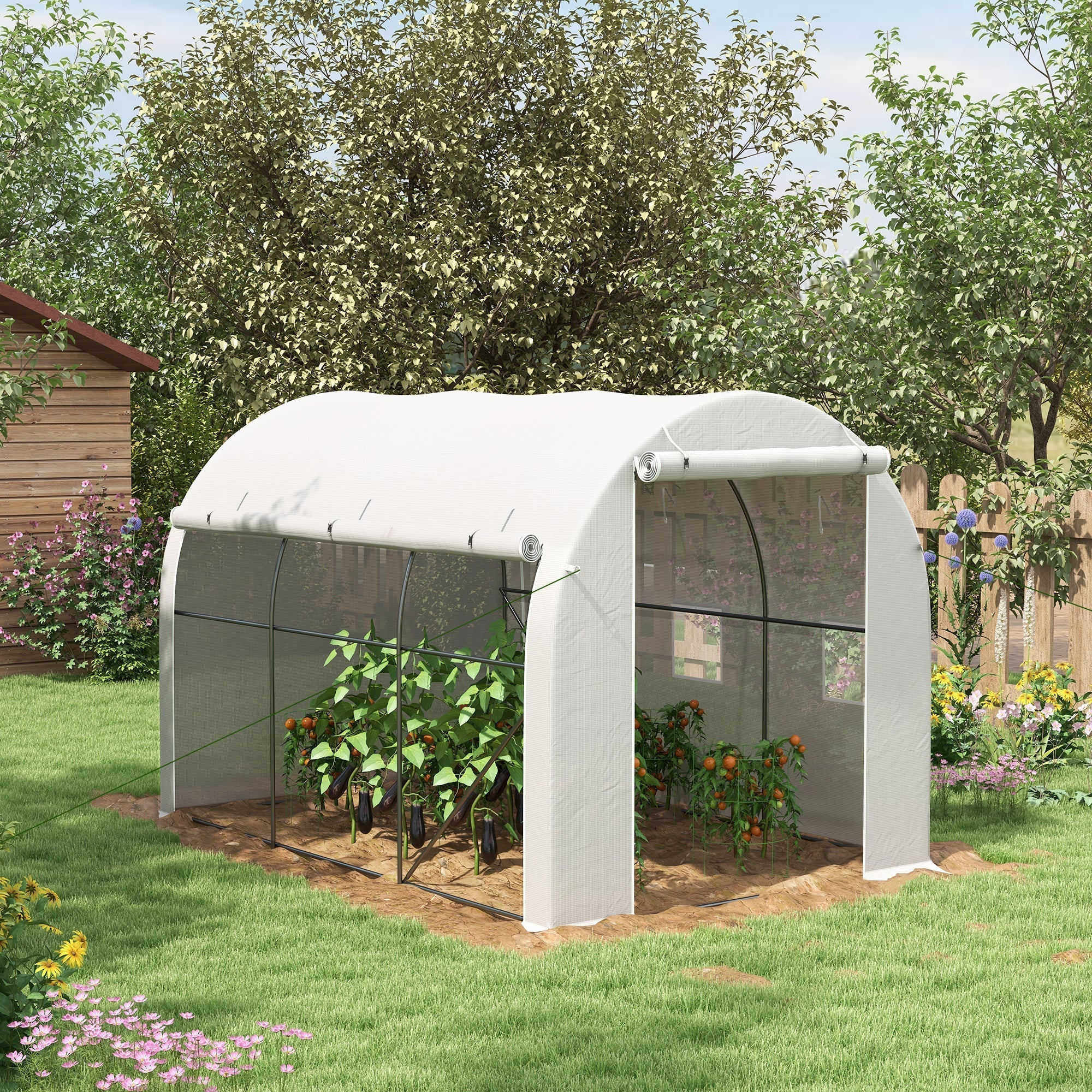 White arched outsunny greenhouse with transparent panels and black galvanised steel frame for gardening use