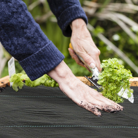 Person wearing navy blue sweater using a hand trowel to transplant plants on outsunny heavy duty weed barrier fabric