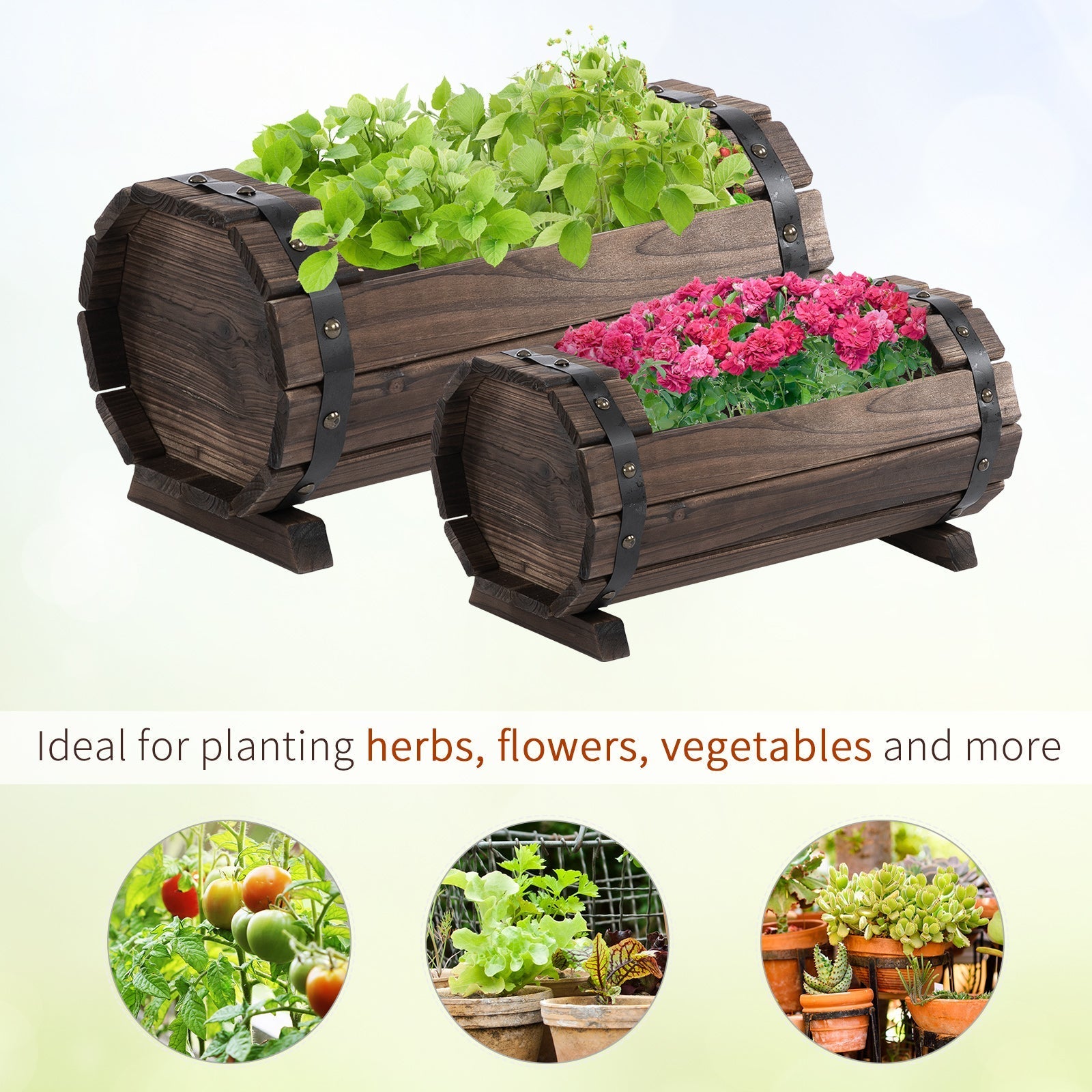 Dark brown wooden barrel-shaped planter boxes with black metal straps solid wood flower beds in carbonized colour