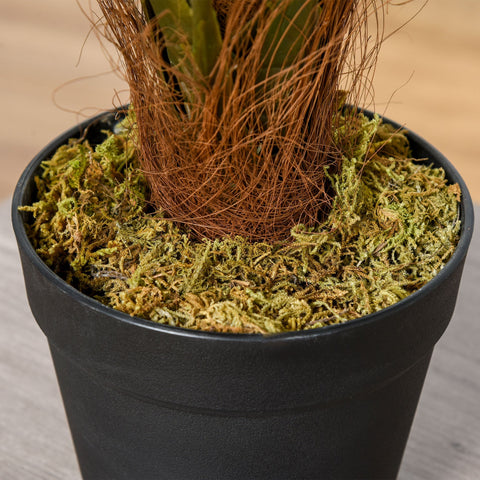 Black plastic pot filled with green moss and brown coir fiber for artificial palm plant with cement-filled pot