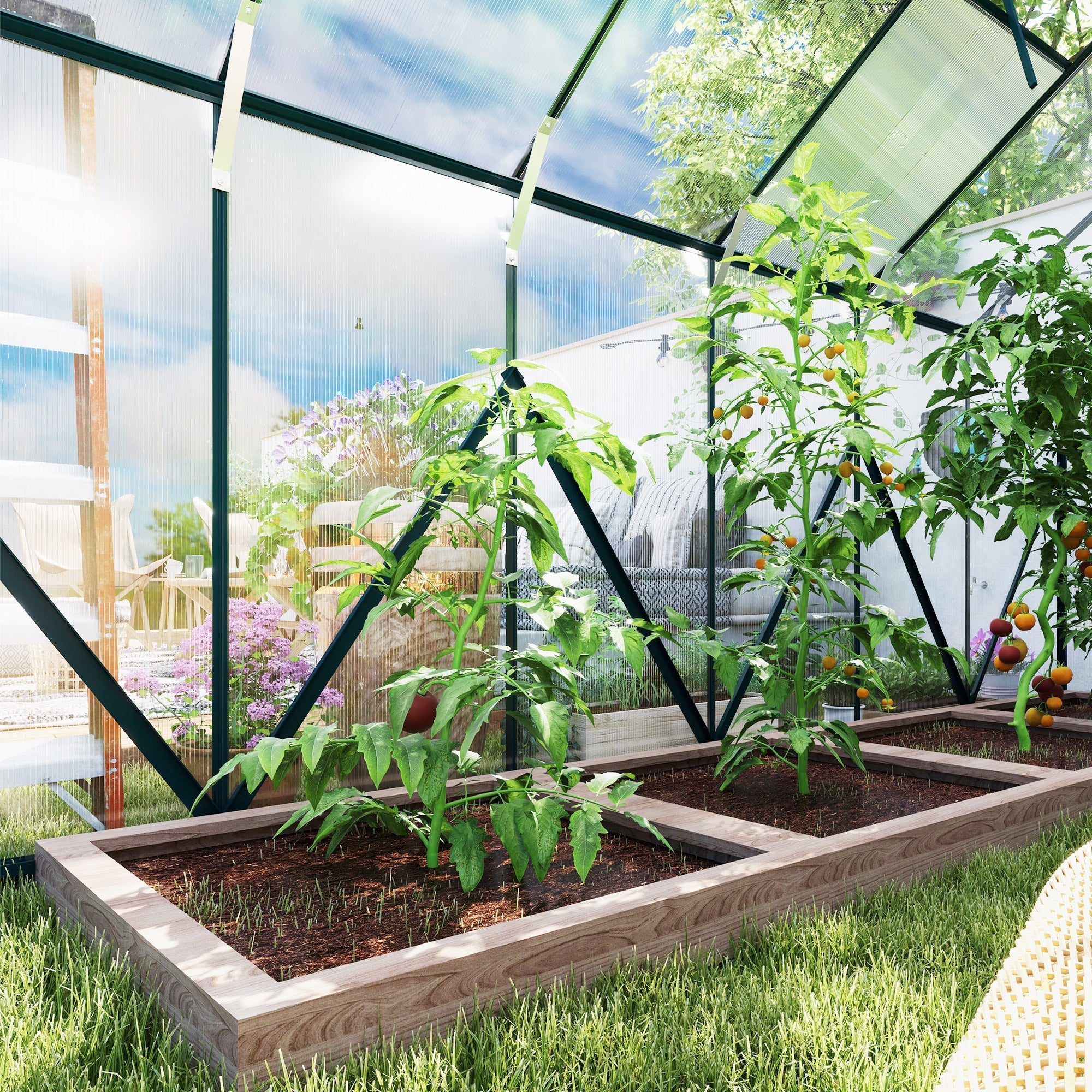 Wooden raised garden bed with green tomato plants inside clear outsunny 8 x 12ft greenhouse with polycarbonate panels and double sliding door