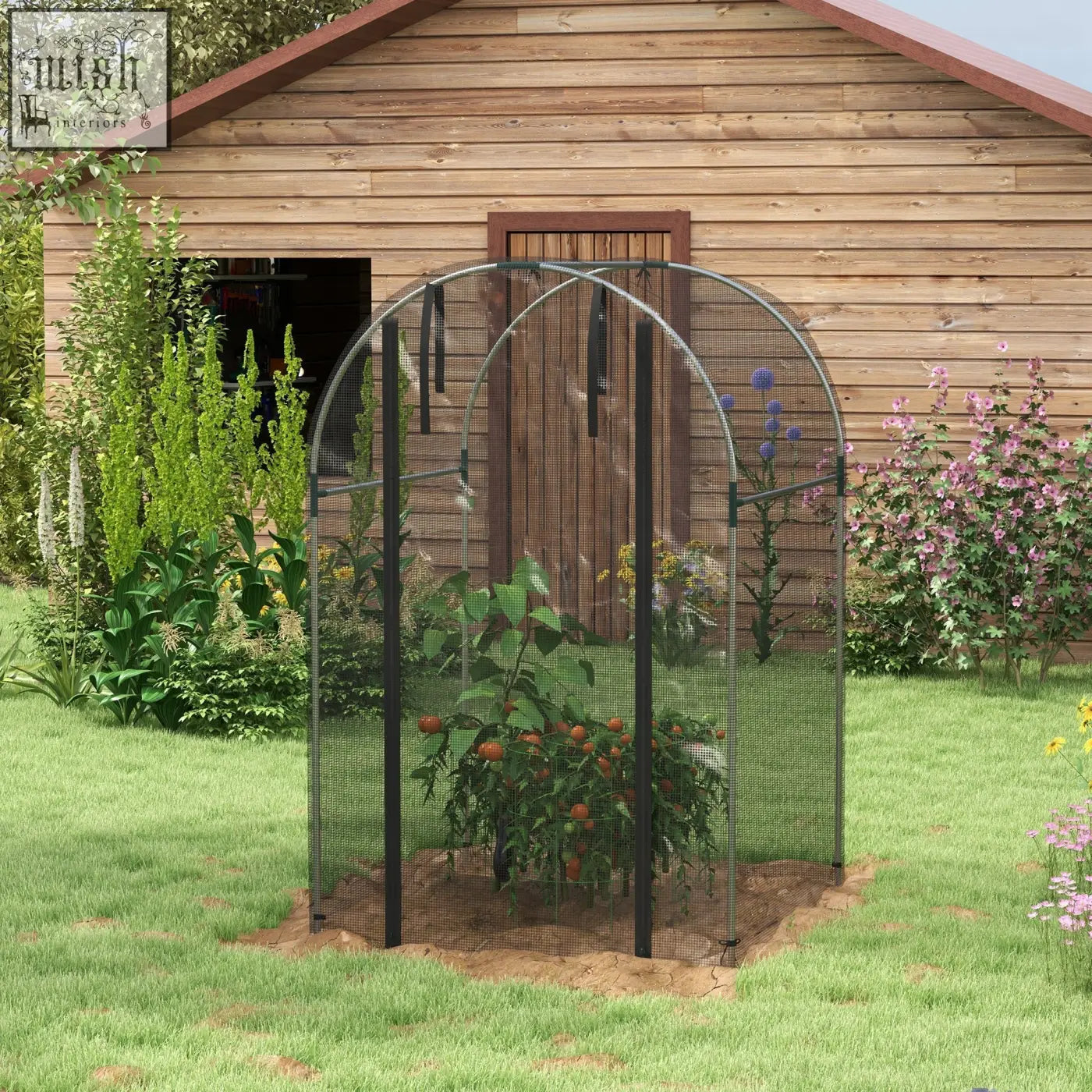 Black galvanised steel fruit cage with tear-resistant mesh cover and zipped door housing a tomato plant