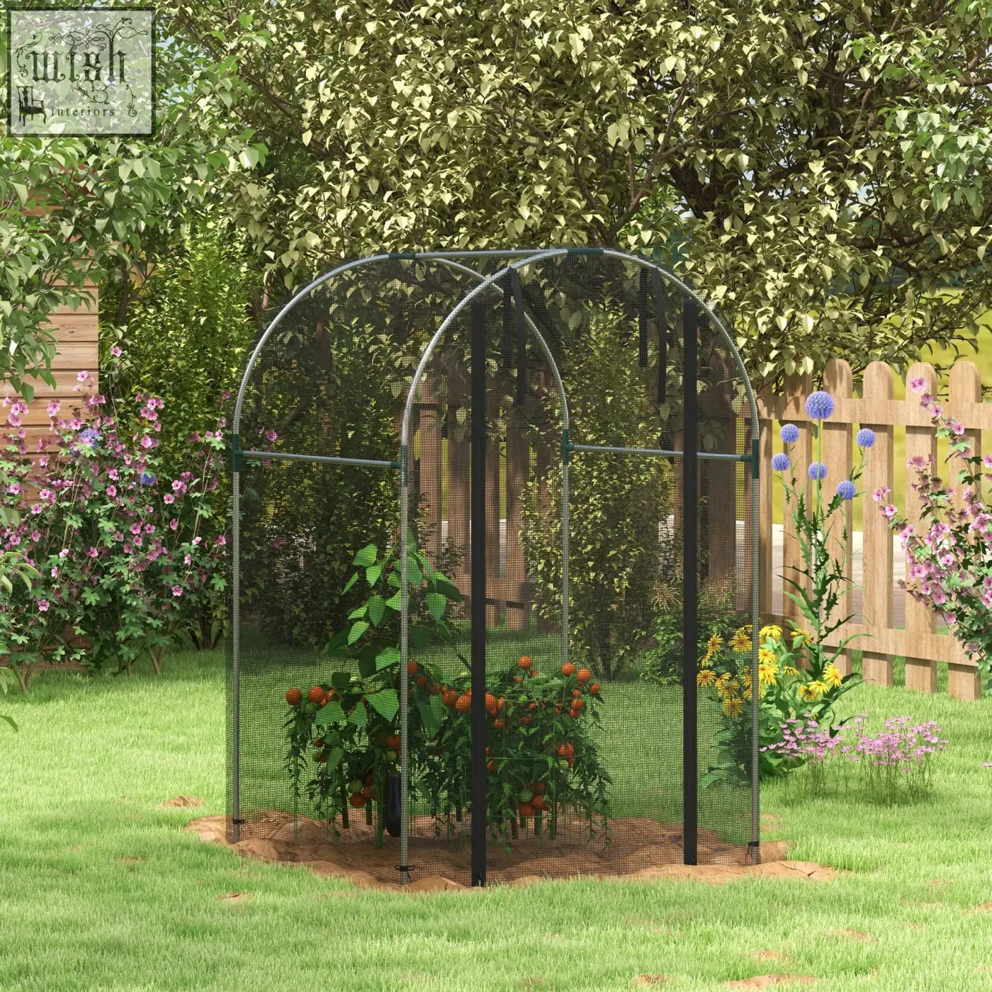 Black galvanised steel fruit cage with tear-resistant mesh cover and zipped door housing tomato plants