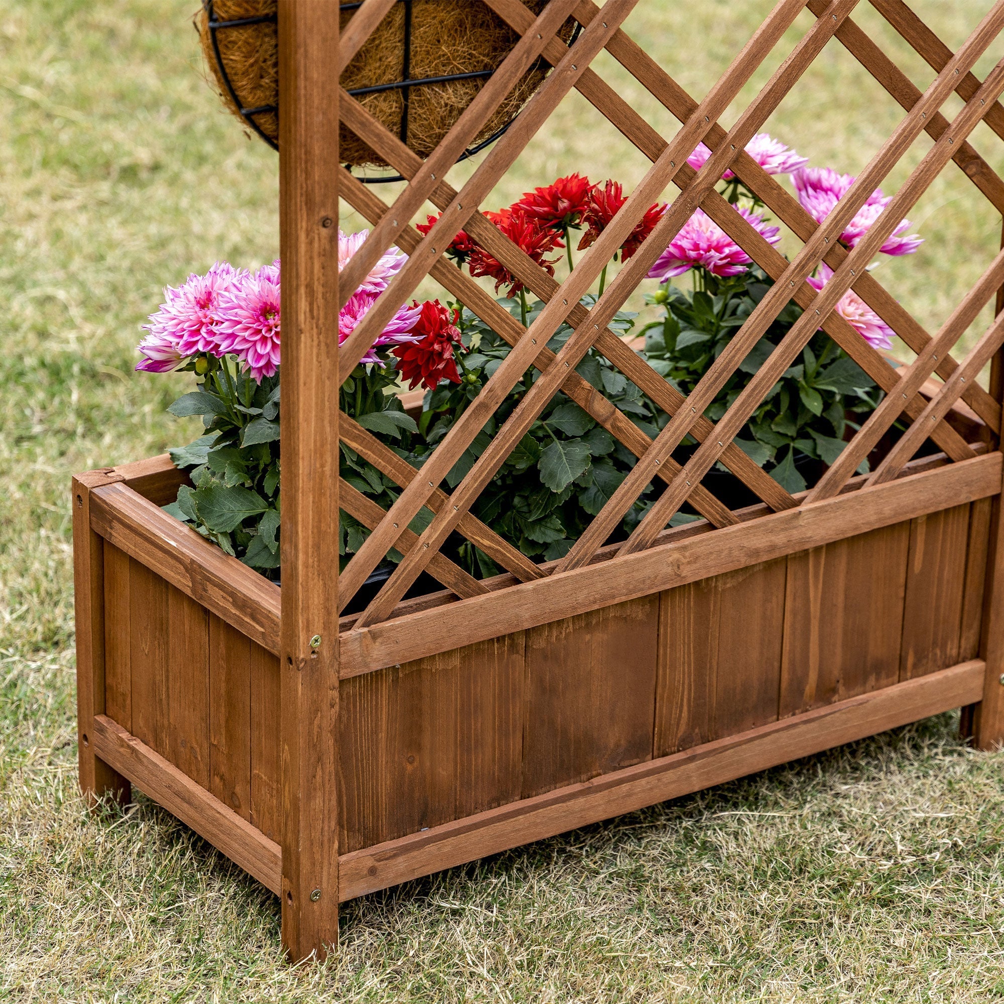 Brown wooden garden bed with lattice trellis made of fir wood holding vibrant red and pink flowers