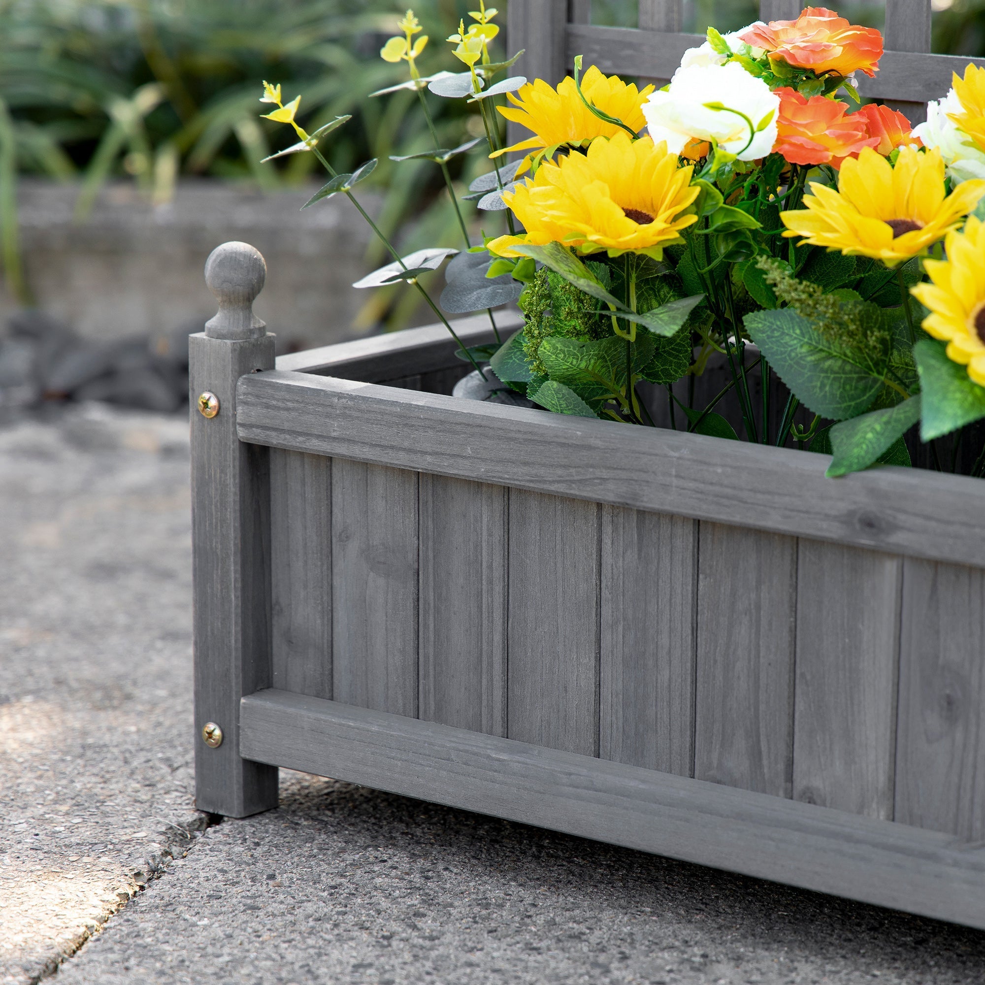 Gray wooden outsunny garden planter with trellis, two leakage holes, filled with yellow sunflowers and orange-white blooms