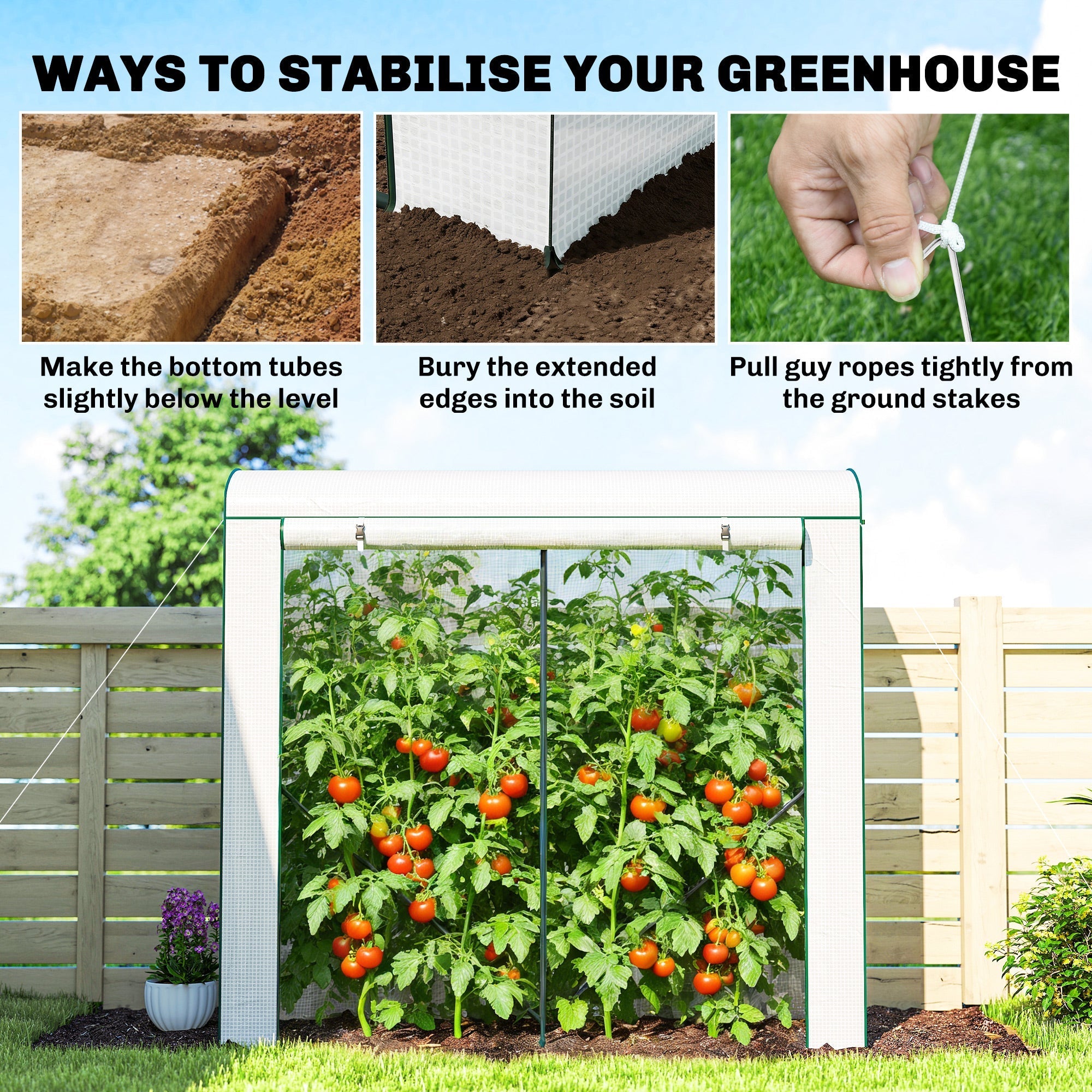 White outsunny mini greenhouse with steel frame, mesh windows, and clear roof protecting tomato plants from unwanted guests