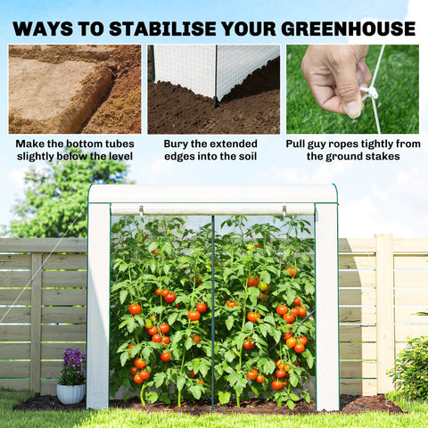 White outsunny mini greenhouse with steel frame, mesh windows, and clear roof protecting tomato plants from unwanted guests