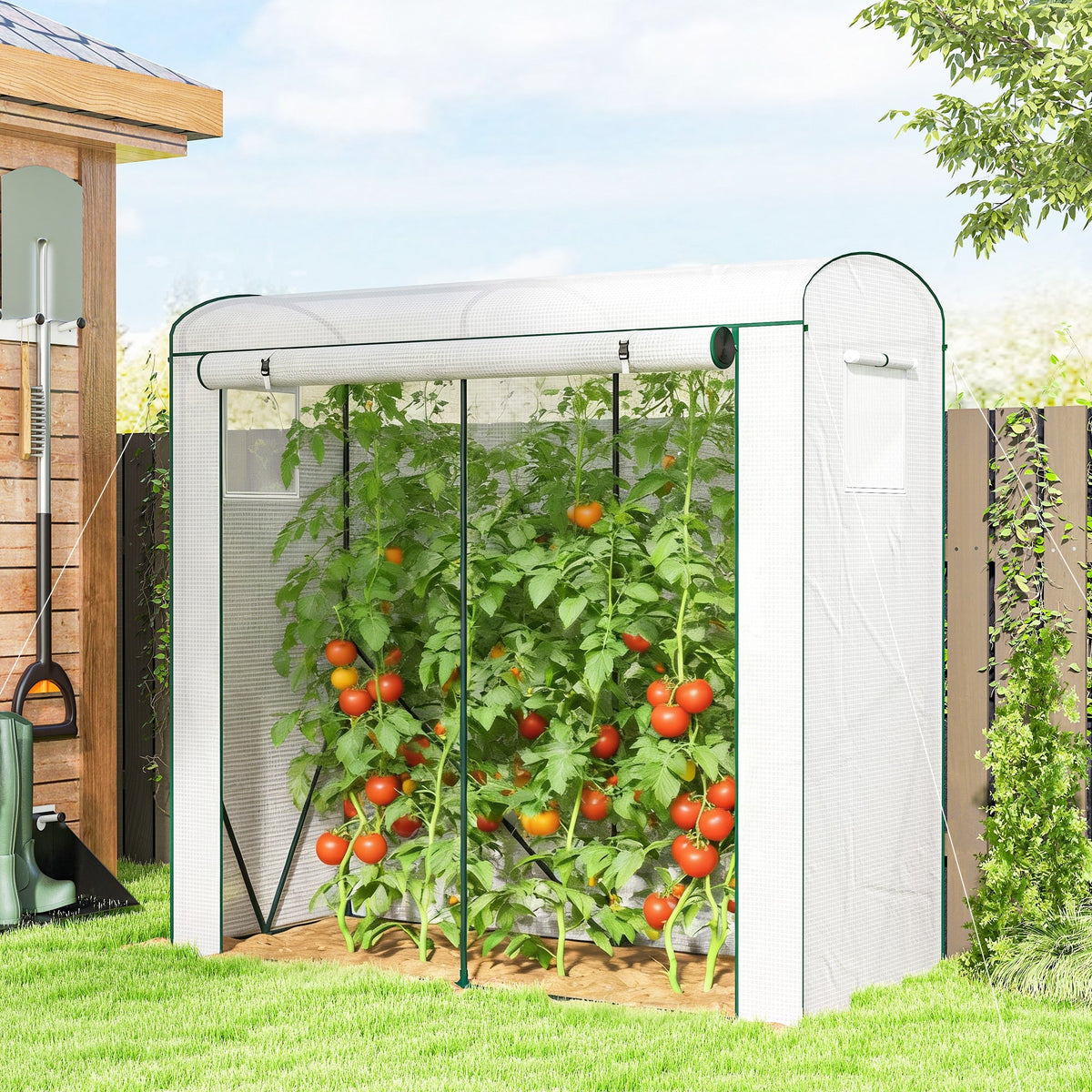 Outsunny mini greenhouse with white steel frame, pe cover, mesh windows, and roll-up door protecting tomato plants from unwanted guests