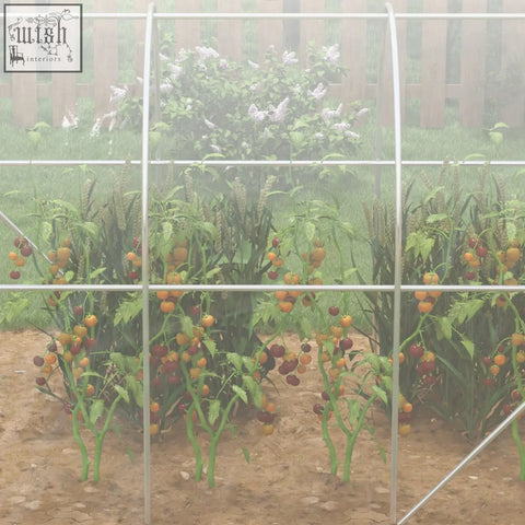 A polytunnel greenhouse with a galvanised steel frame and clear pe cover housing ripe tomato plants