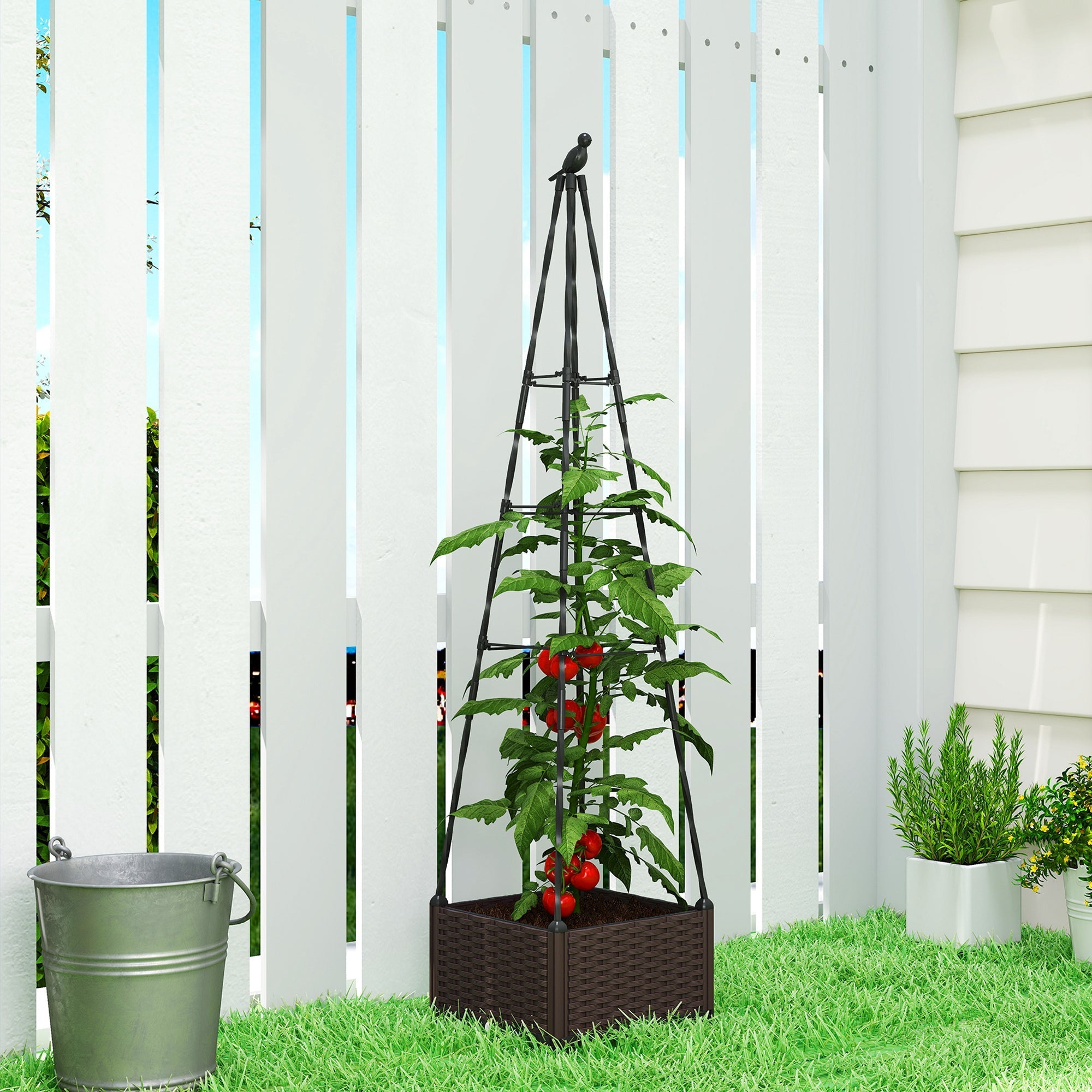 Black metal trellis with bird finial supporting tomato plant in brown wicker planter box for outsunny raised planter