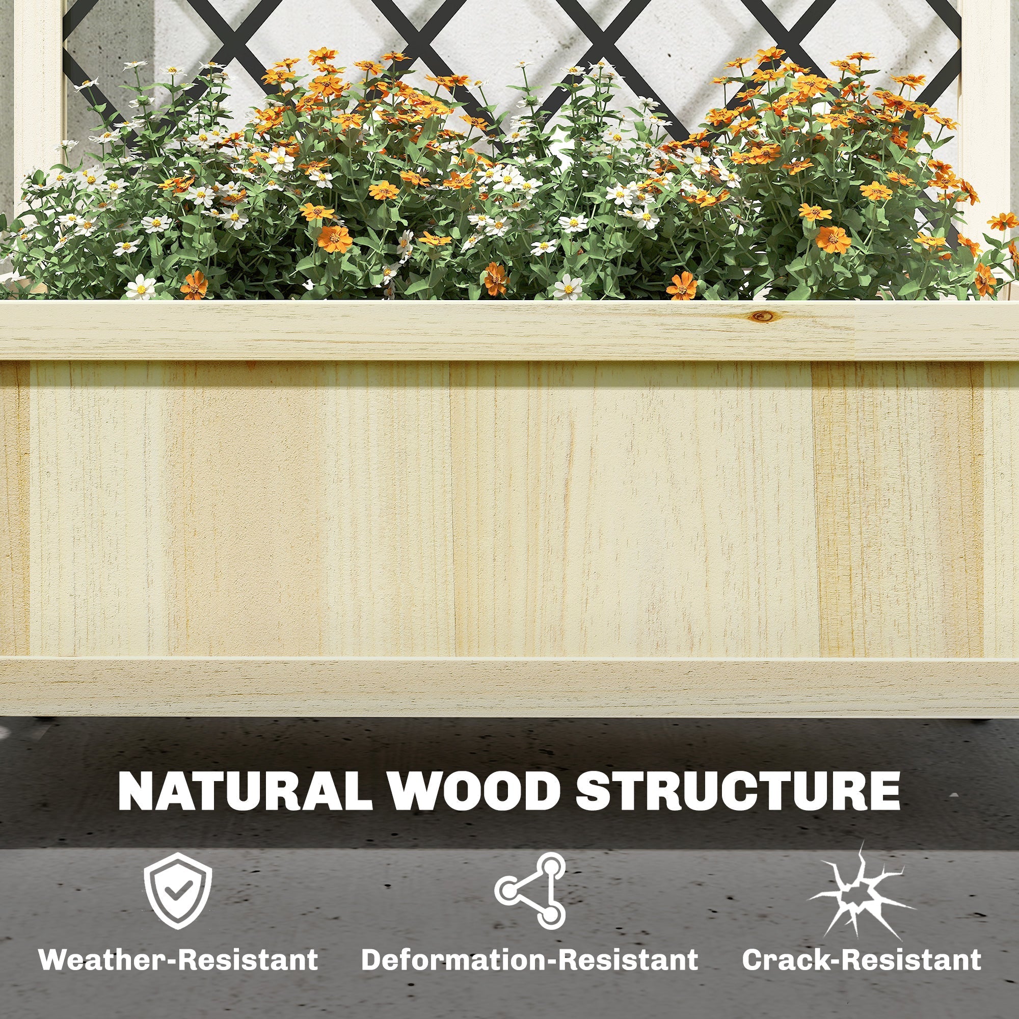 Outsunny raised garden bed with natural light wood planter and metal trellis filled with vibrant orange and white flowers