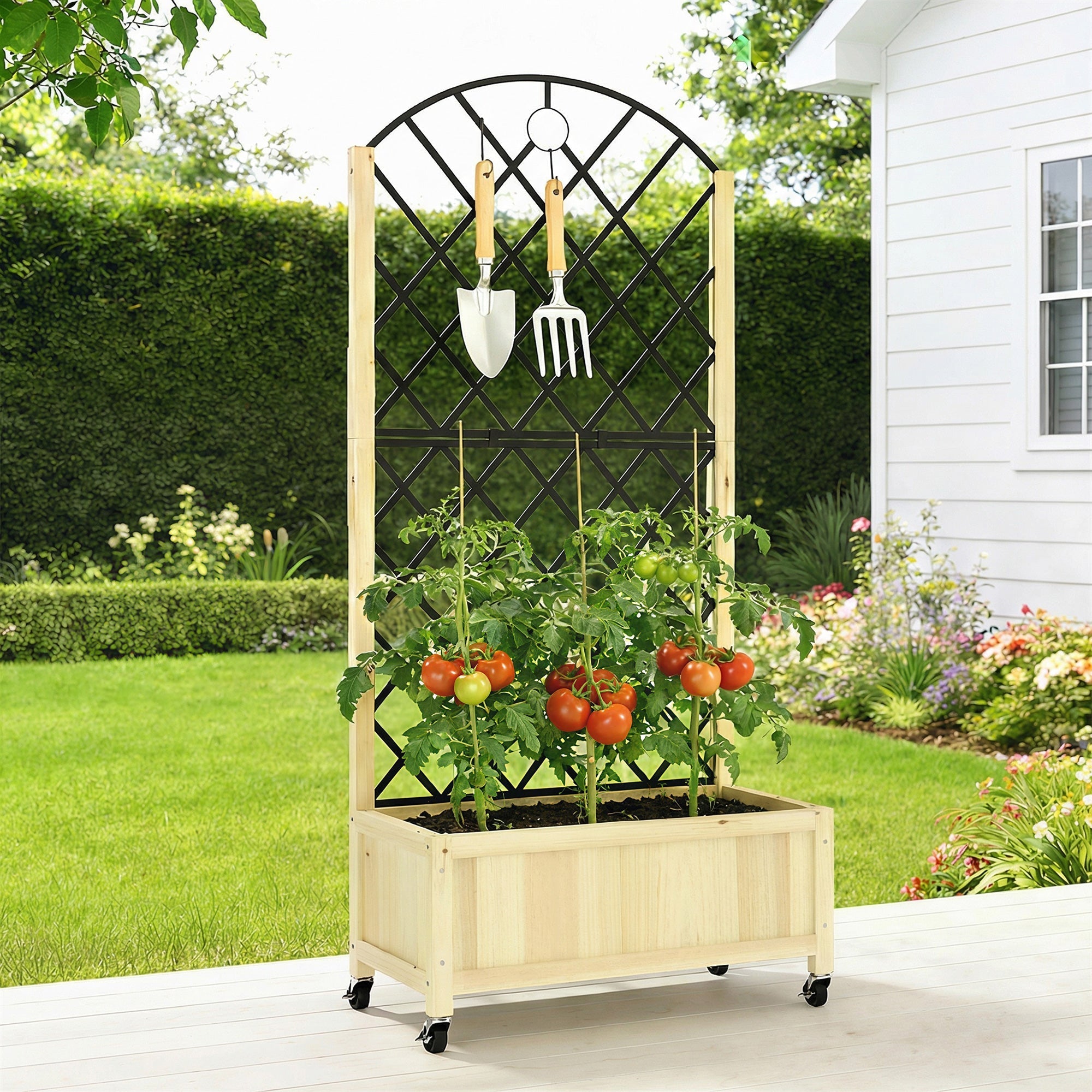 Outsunny light wood raised garden bed with black metal trellis and lockable wheels growing tomato plants outdoors