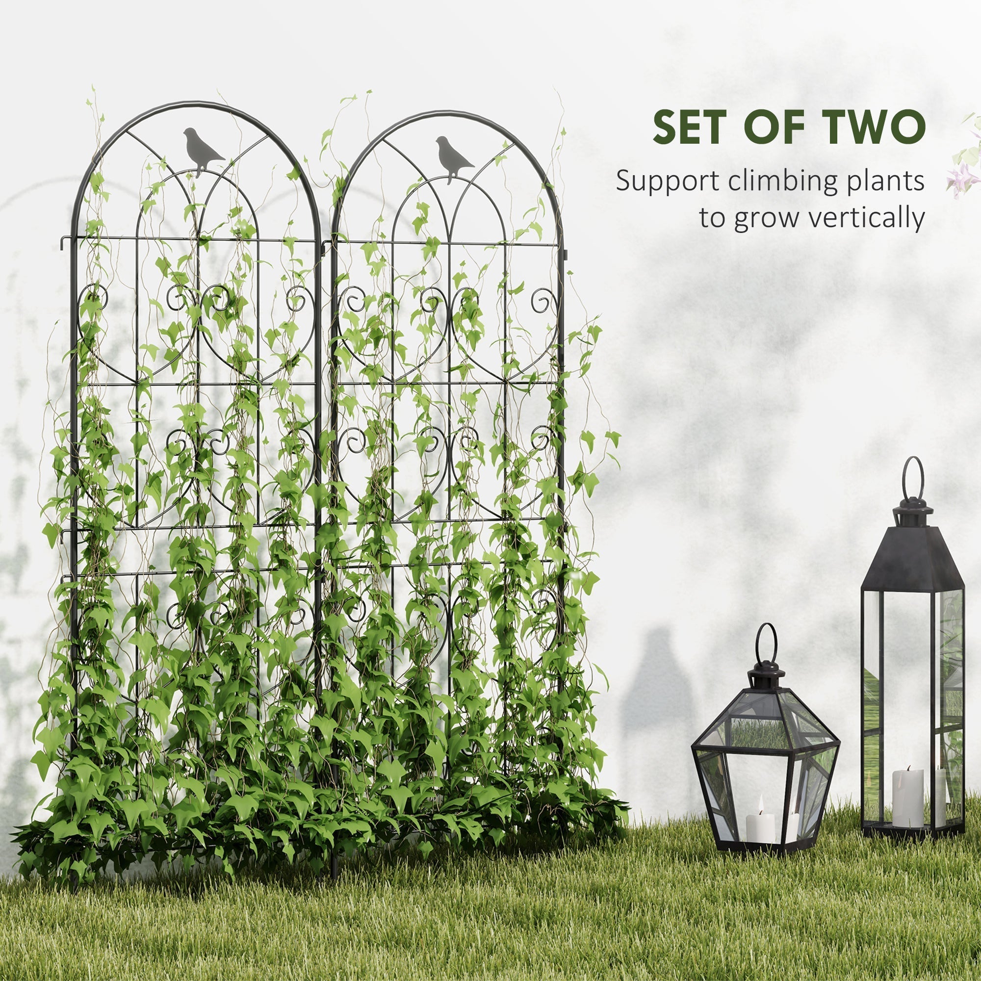 Black wrought iron two trellises with ornate scrollwork offer lots of support for climbing plants outdoors
