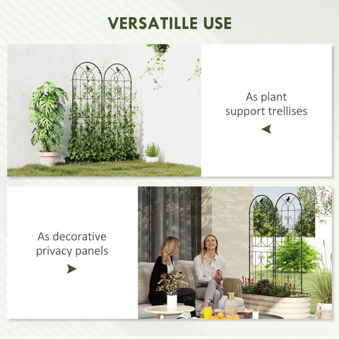 Black wrought iron two trellises with ornate arched design and bird motifs offer lots of support for climbing plants