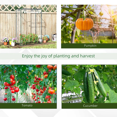 Orange pumpkin hanging from vine inside outsunny mini greenhouse with pvc cover for outdoor spaces