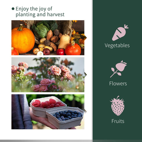 Woven basket with pumpkins cabbage potatoes and squash inside outsunny tunnel greenhouse with steel frame and easy access