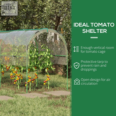 Green-framed tomato greenhouse with steel frame, transparent cover, guy ropes, and pointed bottom for easy setup