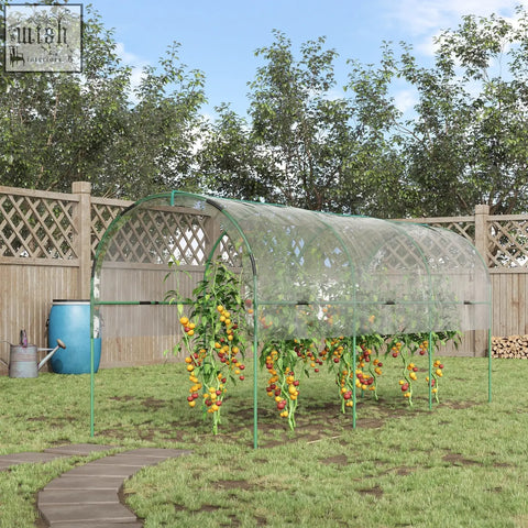 Green arched tomato greenhouse with steel frame, clear plastic cover, guy ropes, and four hoops for garden use