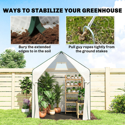 White outsunny walk-in greenhouse with reinforced steel frame and large roll-up door, shelves with potted plants inside