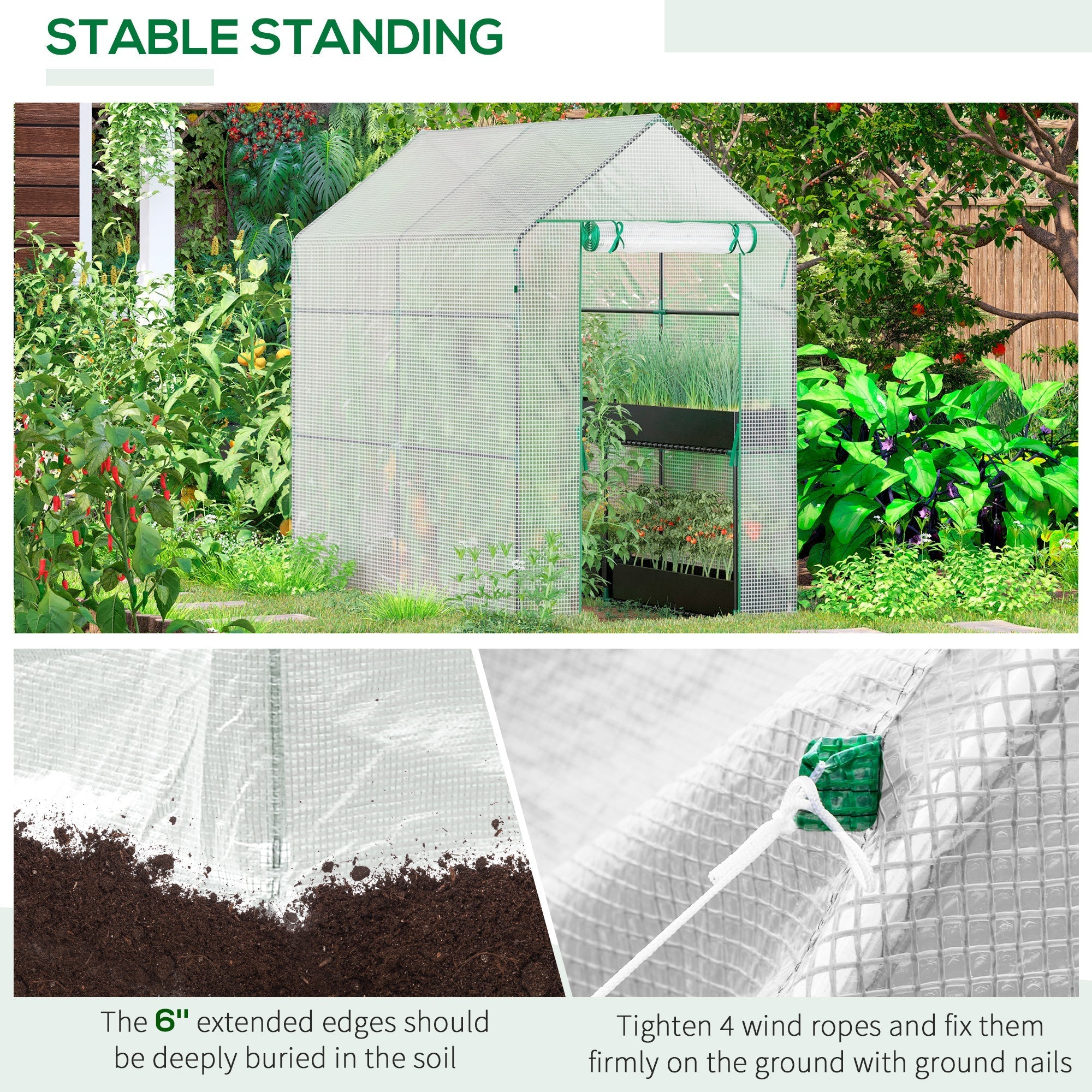 Green-framed outsunny walk in greenhouse with steel frame tough core plastic cover and ground-tied wind ropes for stability