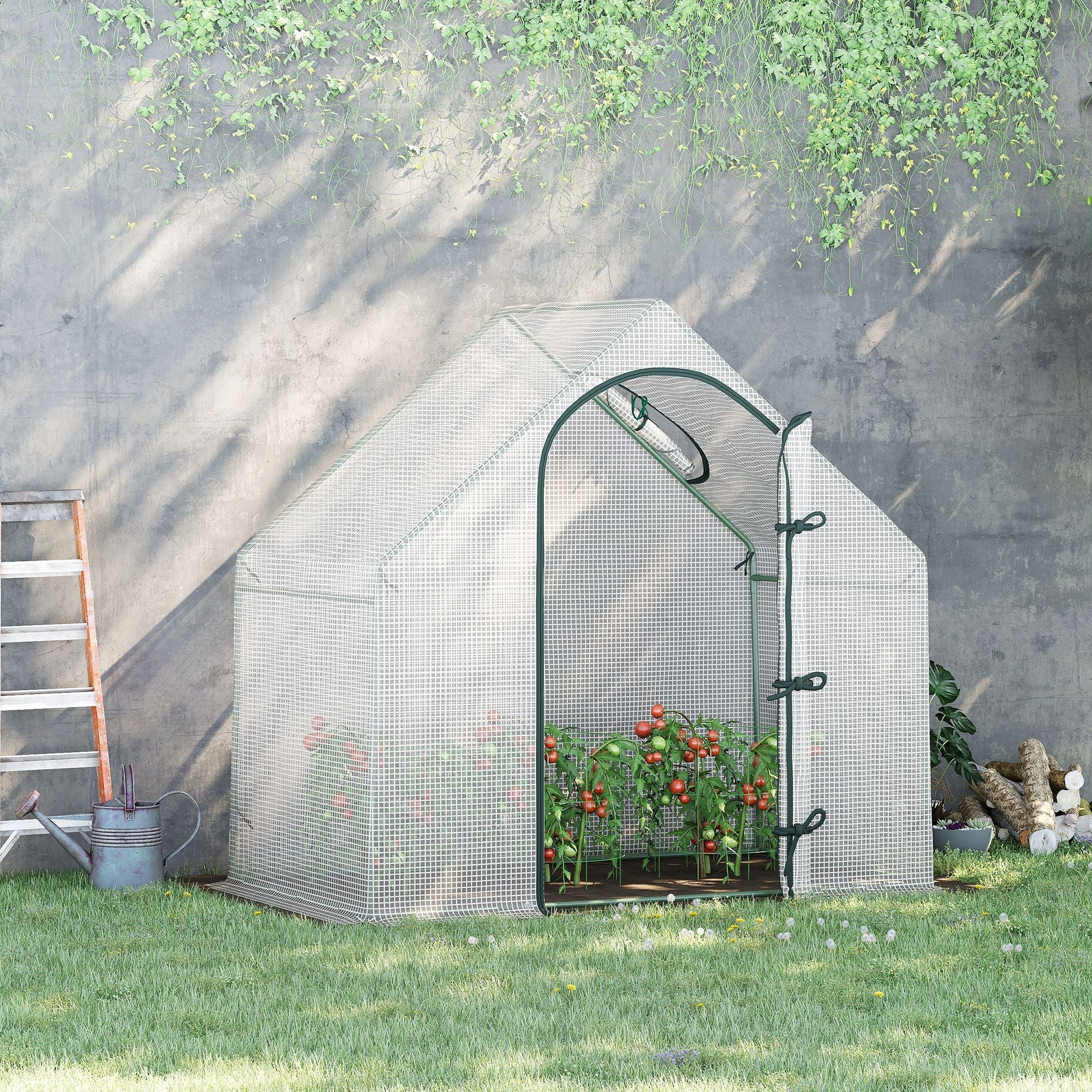 Green-framed mesh-sided walk-in greenhouse with steel frame and extra stability growing tomato plants inside