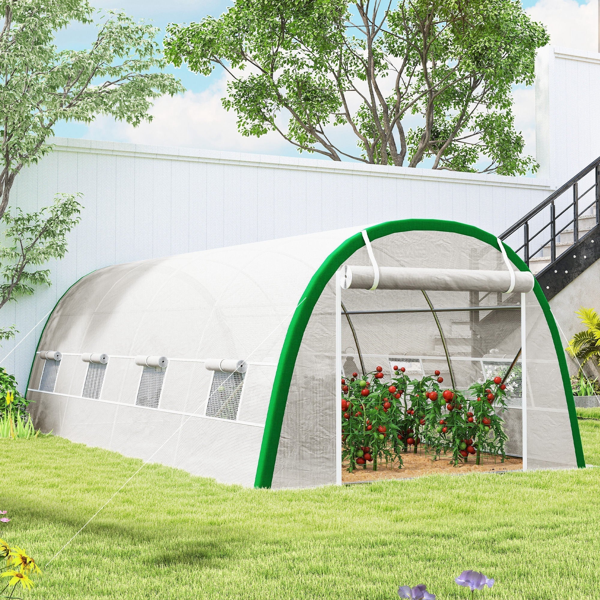 Green-framed white translucent outsunny walk-in polytunnel greenhouse with galvanised steel frame housing tomato plants