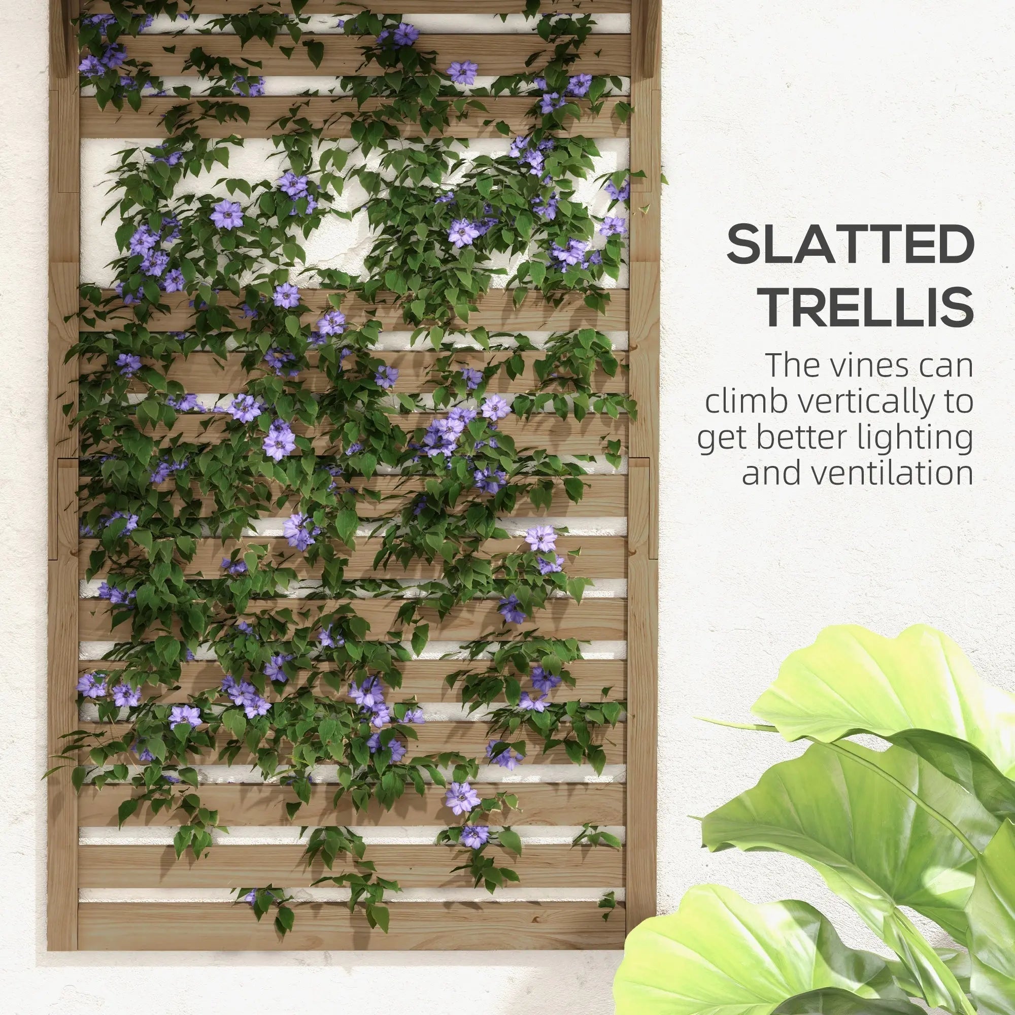 A fir wood plant stand with slatted trellis and purple flowering vines climbing for patio or balcony use