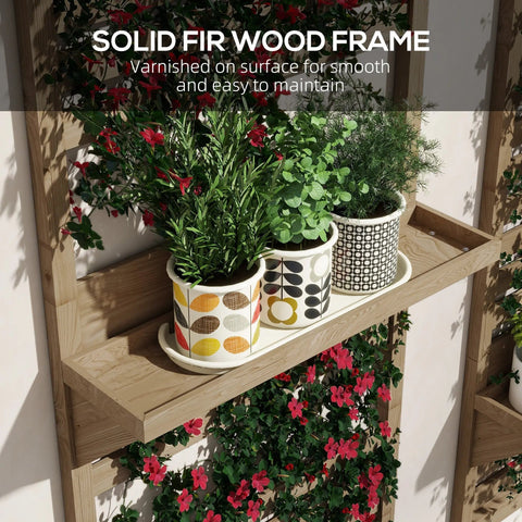 Three ceramic planters with bold patterns on fir wood plant stand ideal for outdoor plant display on patio or balcony