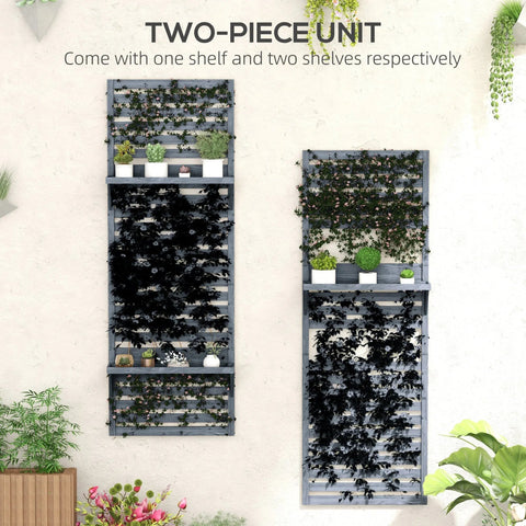 Gray fir wood plant stand with three shelves and ivy-covered slatted trellis for patio or balcony wall mounting