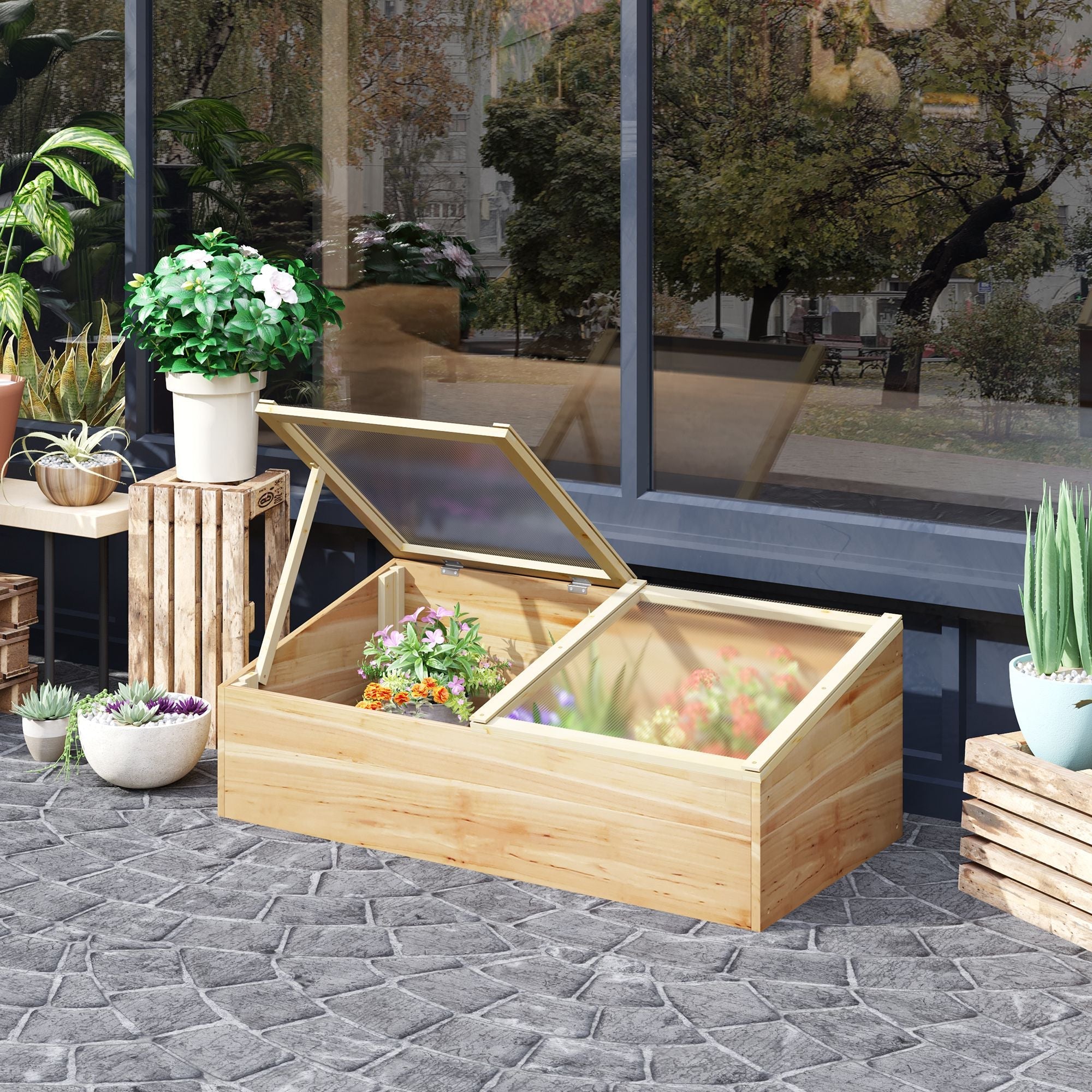 Light-colored wooden cold frame greenhouse with glass lid and independent openable top for plants and vegetables