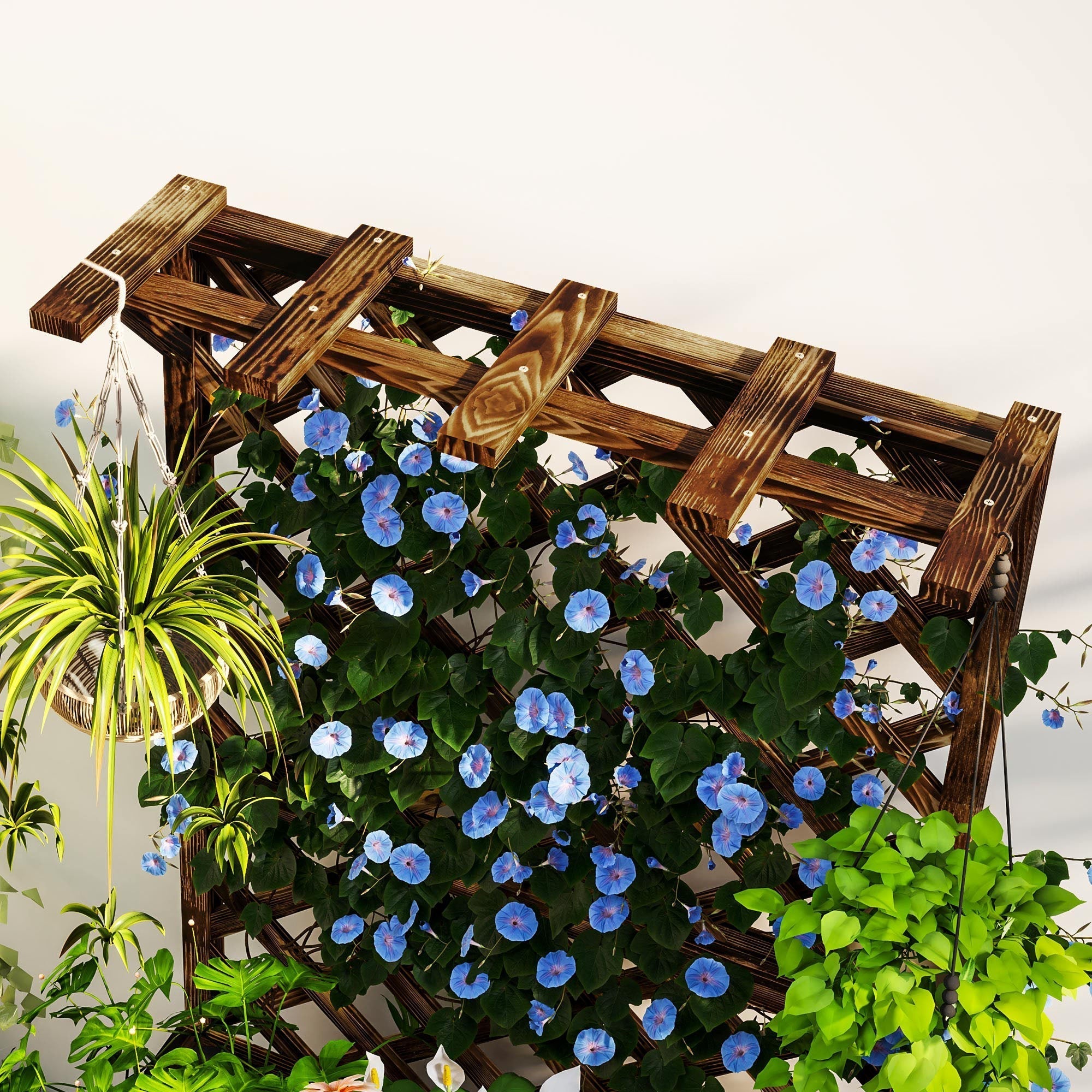 Dark brown outsunny wooden planter with trellis featuring drainage holes and blue morning glory on garden bed