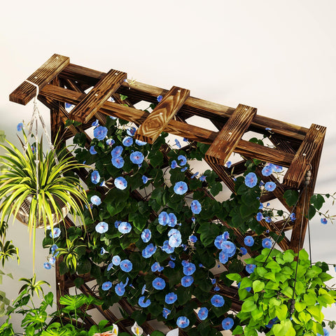 Dark brown outsunny wooden planter with trellis featuring drainage holes and blue morning glory on garden bed