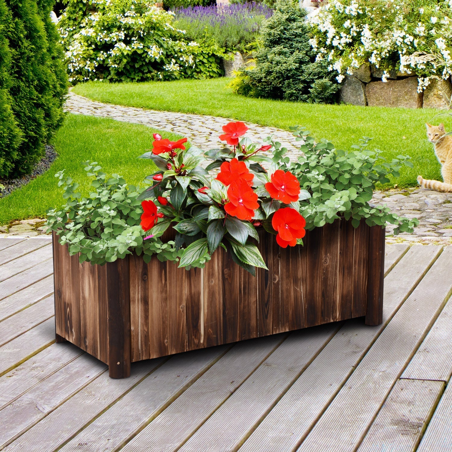 Dark brown fir wood planter box filled with red flowers and green foliage in outdoorsunny raised garden bed