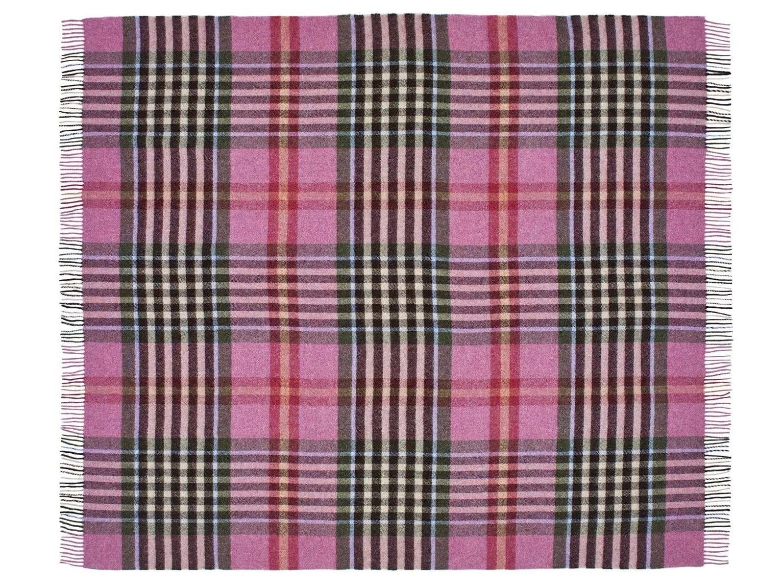 Chesil Check Pure New Wool Throw - Raspberry