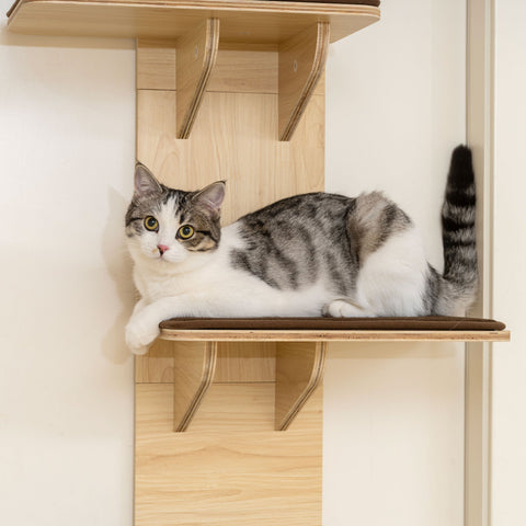Light wood mounted cat tree with brown cushioned platform and washable plush mats for indoor cats by pawhut