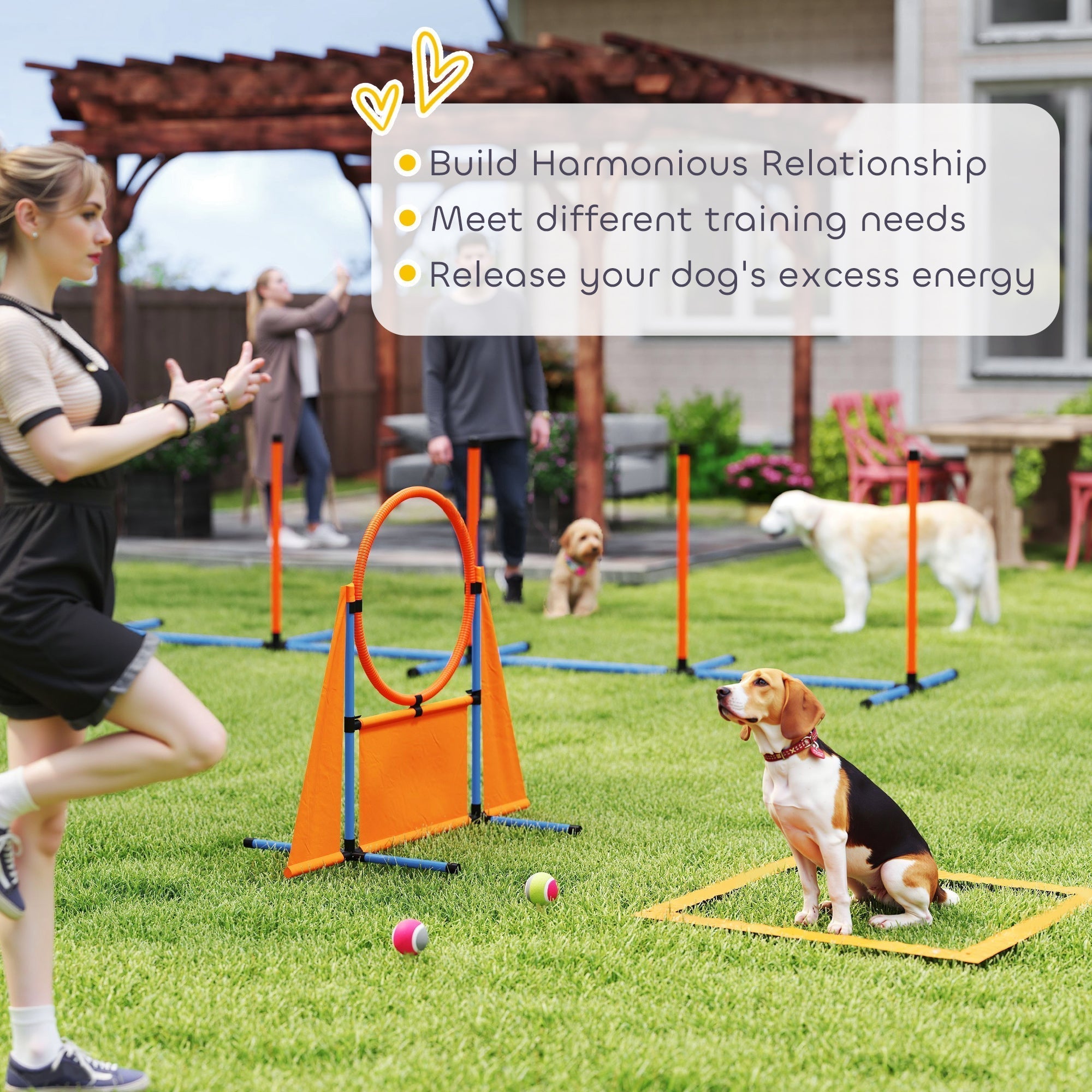 Pawhut orange and blue dog agility set with weave poles hurdle pause box and carry bag for easy transport