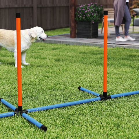 Bright orange and blue plastic dog agility hurdle with black caps from pawhut 6 pieces set with weave poles pause box and carry bag
