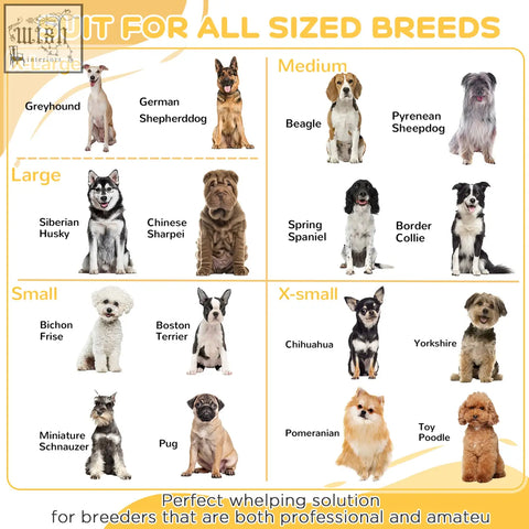 Image of a two room design white pawhut 7 panels playpen with 3 doors and dog breed chart for puppy use