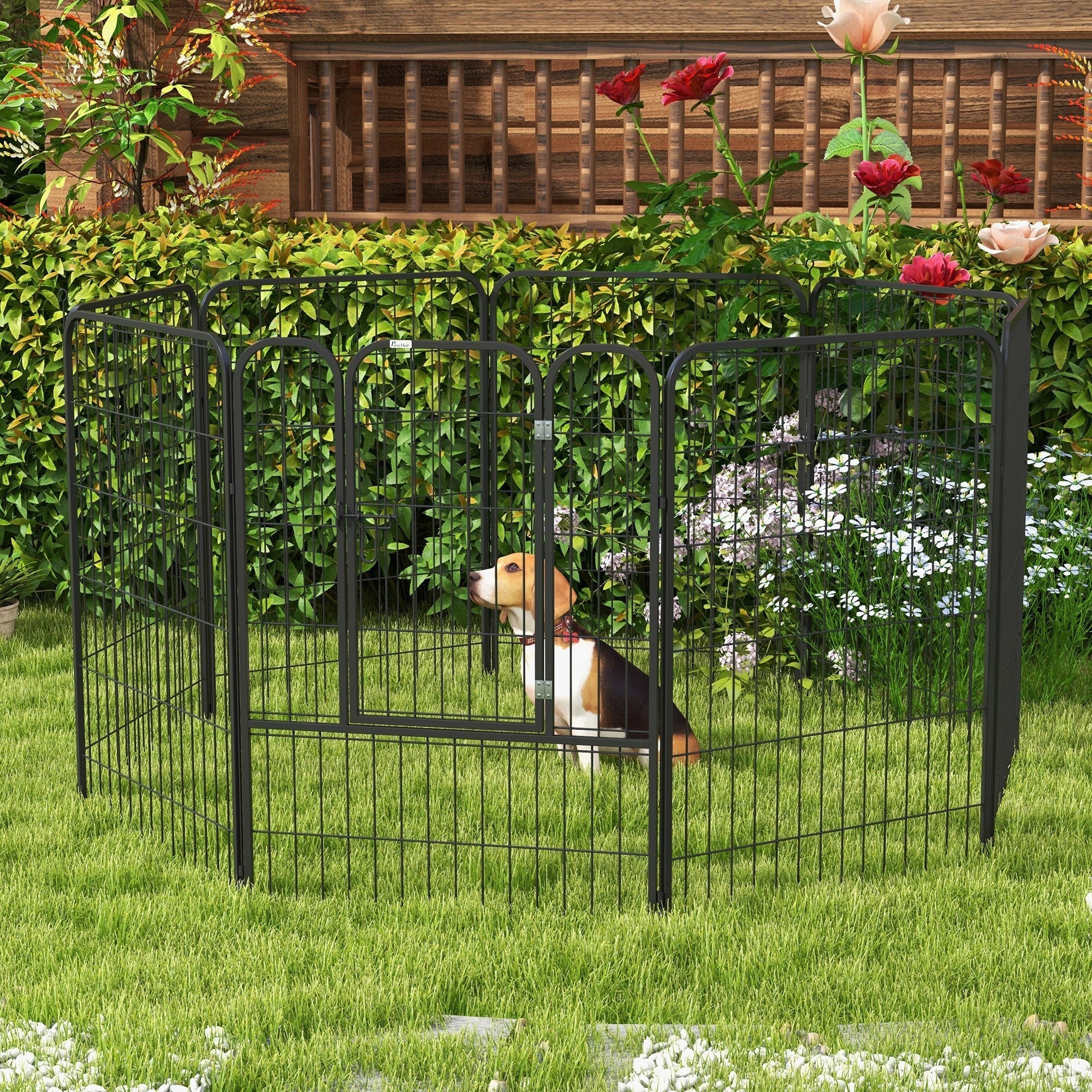 Black metal pawhut 8 panels heavy duty playpen with a beagle inside for medium dogs indoor and outdoor use