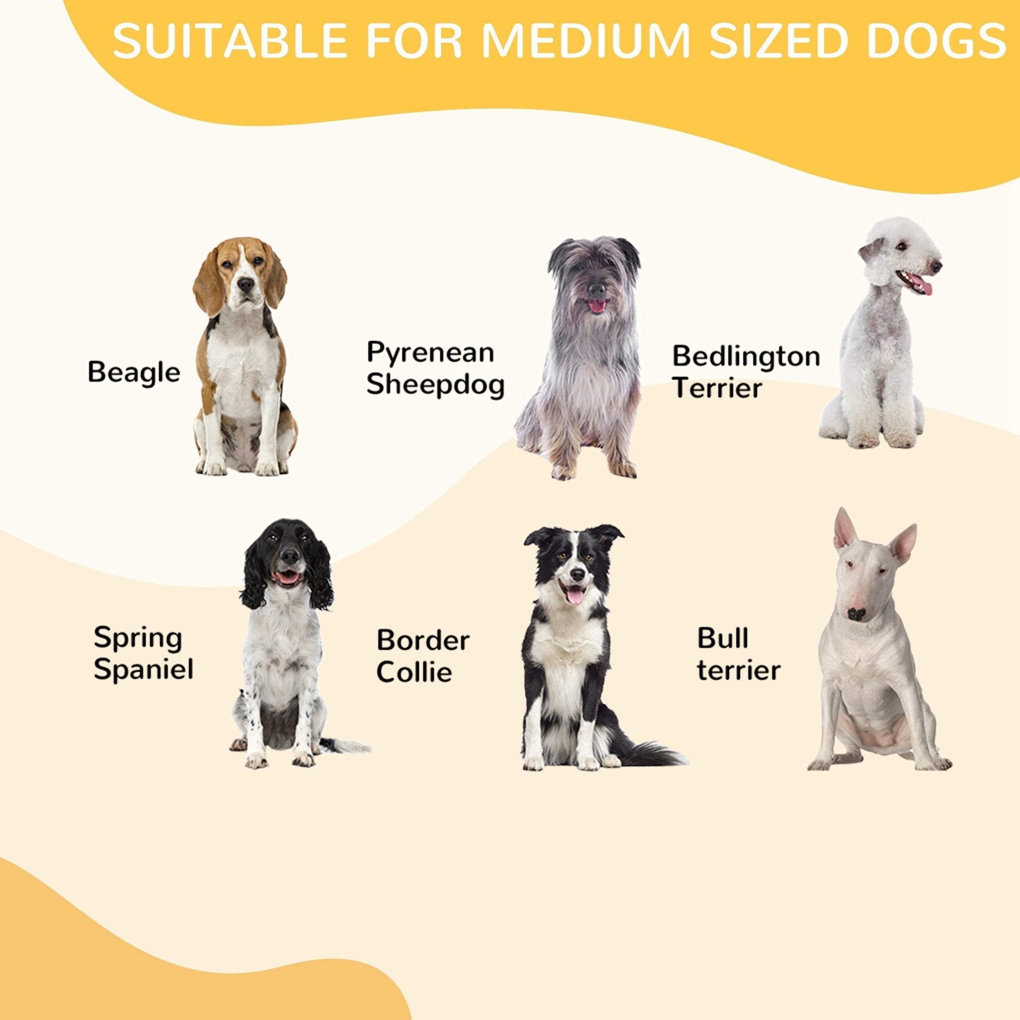 A calm tan and white beagle sits inside a black pawhut 8 panels heavy duty puppy playpen for medium dogs indoor outdoor use